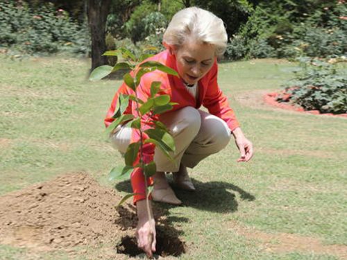 Von der Leyen, a maggio strategia Ue su energia solare