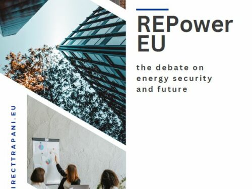 REPowerEU – The debate on energy security and future
