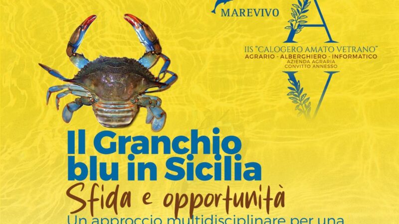 Il granchio blu in Sicilia: sfida e opportunità